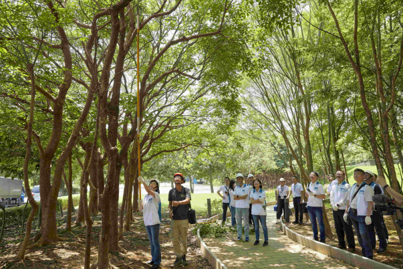 藝師教導大家認識樹木、檢查樹的健康狀況，學習修枝及碎枝覆土